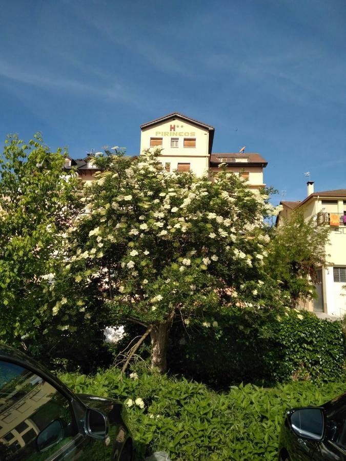 Pirineos Casa de hóspedes Aínsa